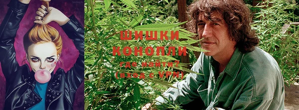 МДПВ Ельня
