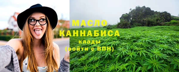 МДПВ Ельня
