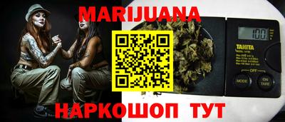 сатива Кандалакша