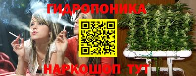 сатива Кандалакша