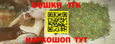 сатива Кандалакша