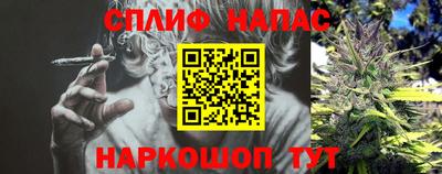 сатива Кандалакша